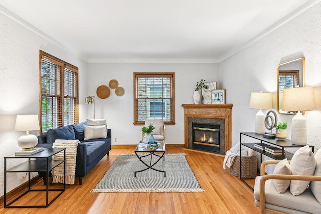 5824 10th Ave S, Minneapolis, MN 55417 - living room featuring a premium fireplace, wood finished floors, and baseboards