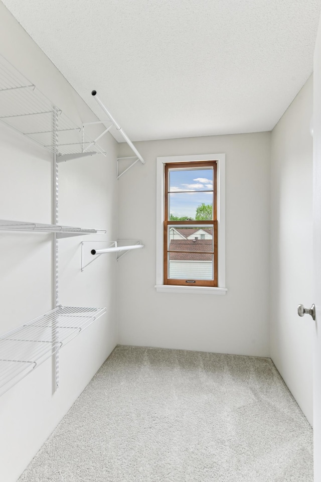 5824 10th Ave S, Minneapolis, MN 55417 - walk in closet featuring carpet flooring