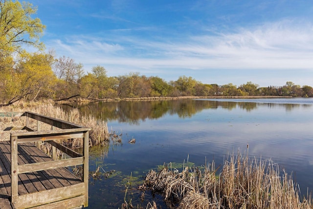 5824 10th Ave S, Minneapolis, MN 55417 - dock with a water view and a forest view