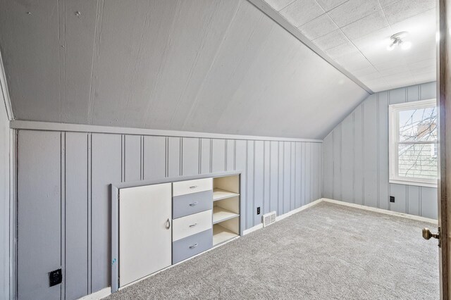1610 Hennepin Ave N, Glencoe, MN 55336 - bonus room with carpet floors, lofted ceiling, a decorative wall, and visible vents
