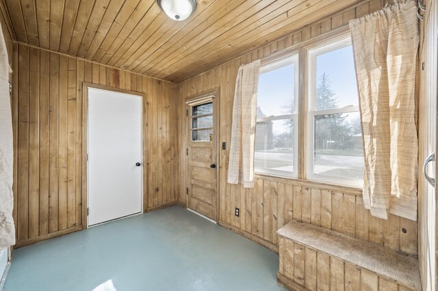1610 Hennepin Ave N, Glencoe, MN 55336 - entryway featuring concrete flooring, a wealth of natural light, and wood walls