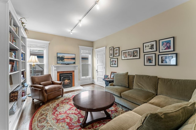 living area with track lighting, wood finished floors, and a fireplace