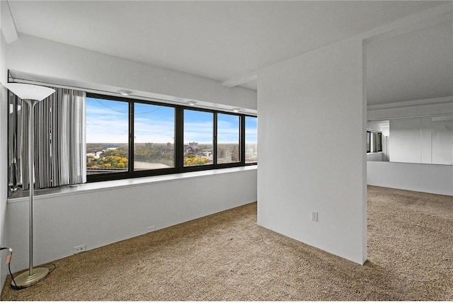 empty room featuring carpet floors