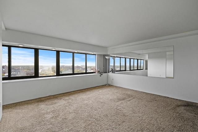 unfurnished room with carpet floors