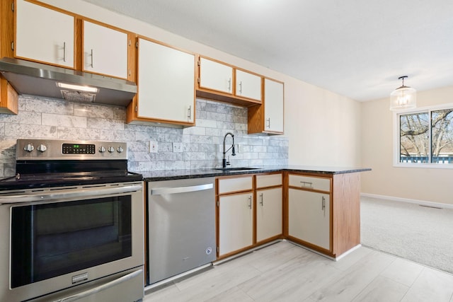 kitchen featuring stainless steel appliances, backsplash, a sink, under cabinet range hood, and baseboards