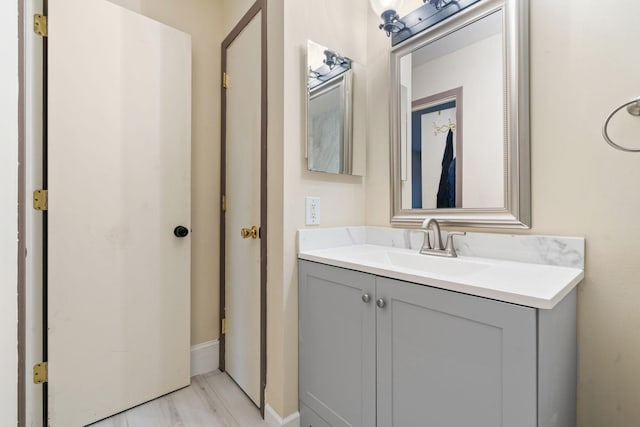 bathroom featuring wood finished floors and vanity