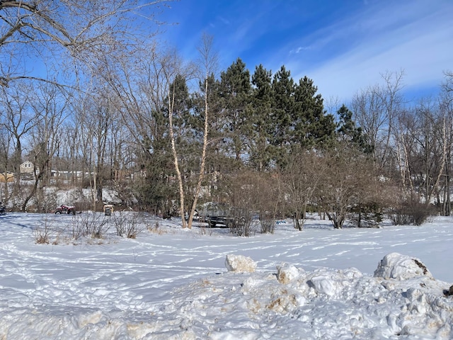 view of yard layered in snow