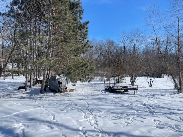 view of yard covered in snow