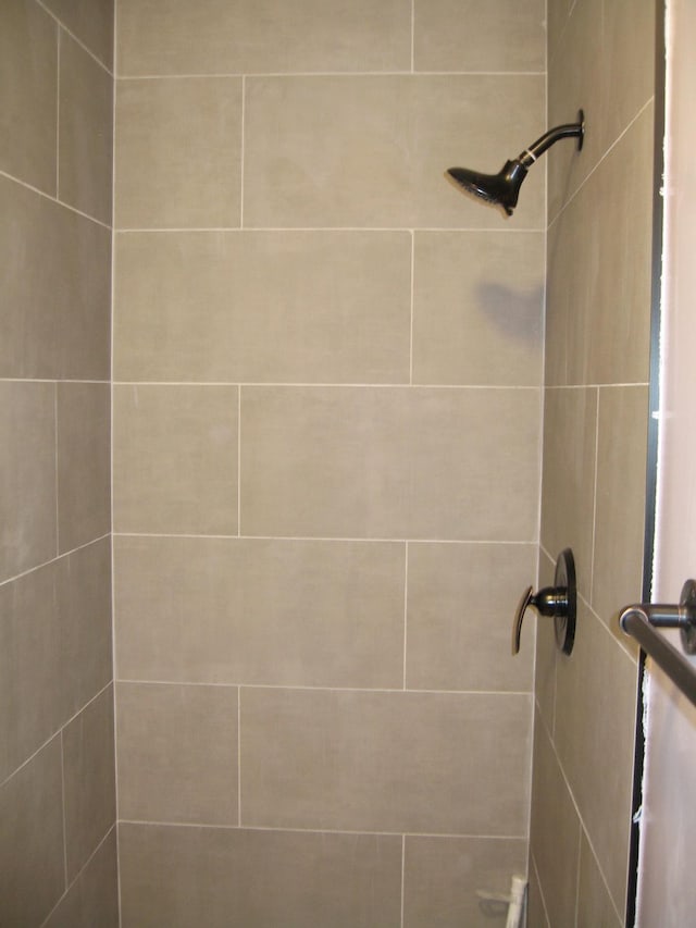 room details with tiled shower