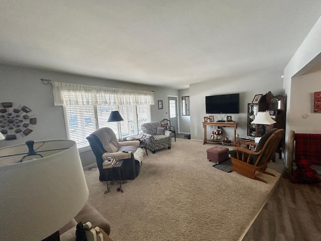 view of carpeted living area