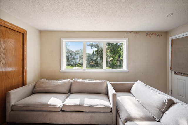 living room featuring a textured ceiling