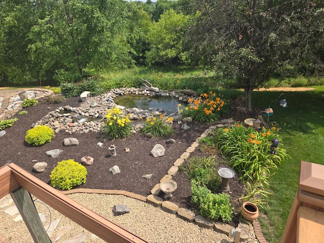 view of yard with a small pond