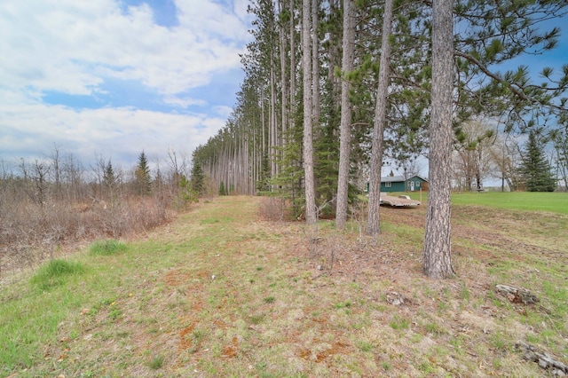 61279 US Highway 169, Hill City, MN 55748 - view of yard