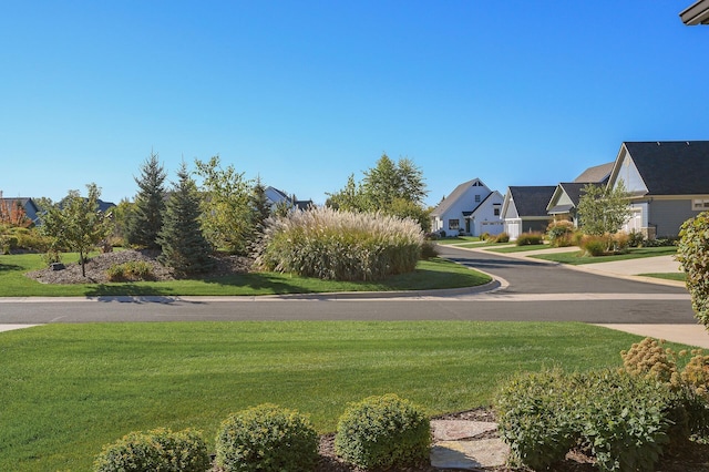 view of yard featuring a residential view