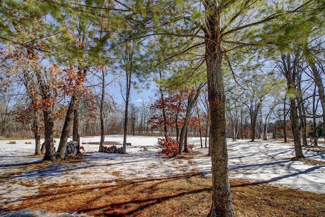 view of yard layered in snow