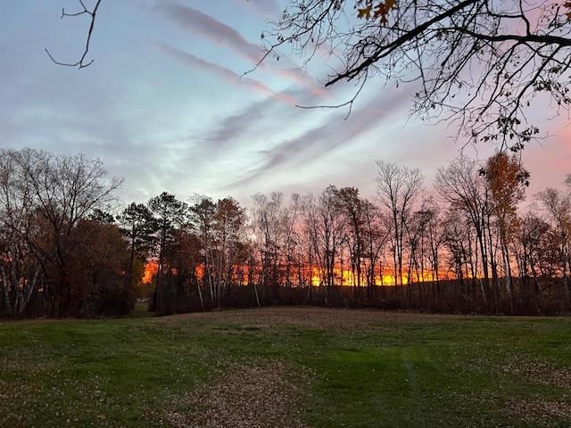 view of yard at dusk