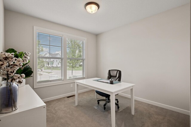 home office with light carpet, visible vents, and baseboards