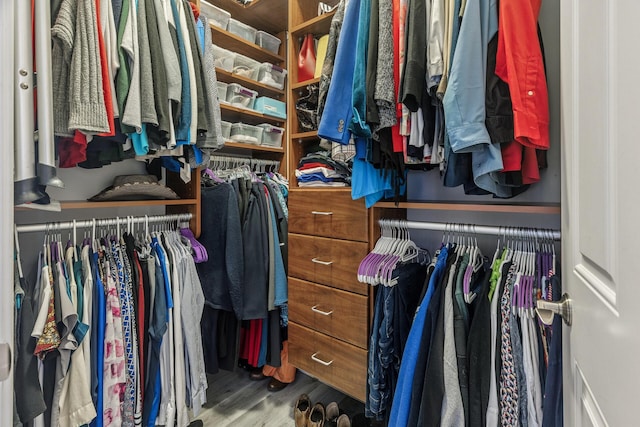 270 4th St E Unit 401, Saint Paul, MN 55101 - walk in closet with wood finished floors