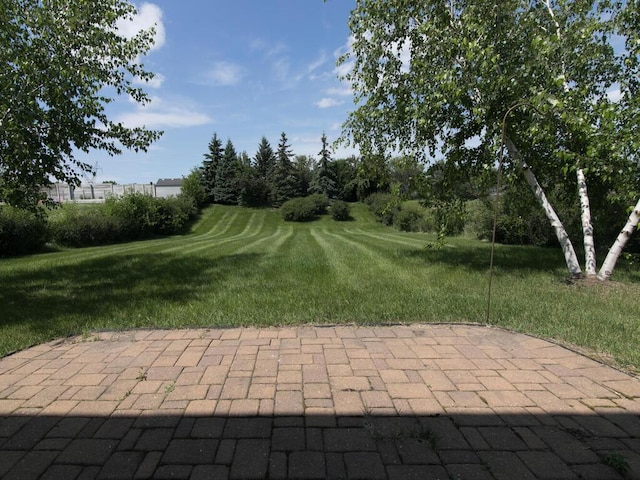 233 Pottok Ln, Shakopee, MN 55379 - photo 22