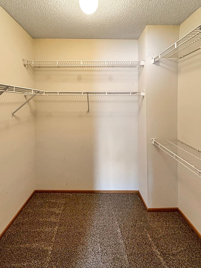 spacious closet with carpet floors