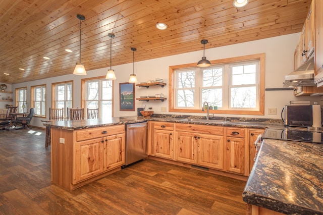 kitchen with wood ceiling, stainless steel dishwasher, a sink, and a wealth of natural light