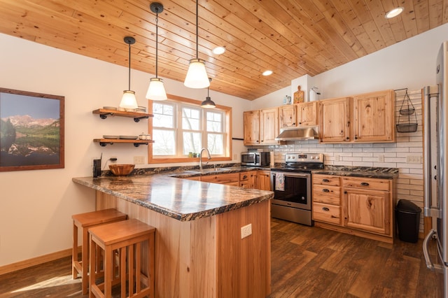 kitchen with a peninsula, vaulted ceiling, stainless steel appliances, under cabinet range hood, and a sink