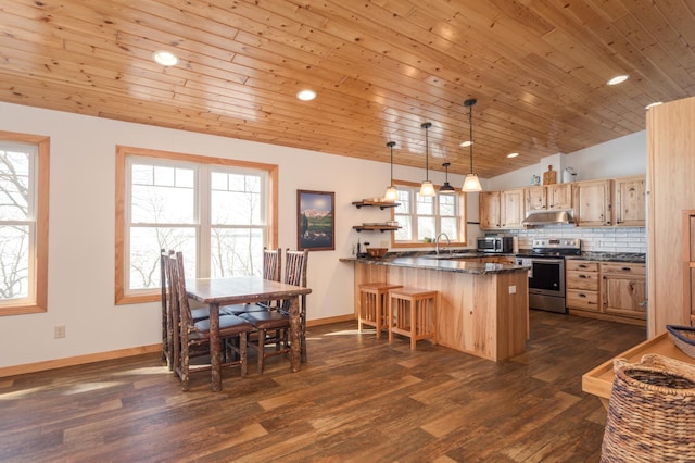 kitchen with under cabinet range hood, a peninsula, vaulted ceiling, appliances with stainless steel finishes, and light brown cabinetry