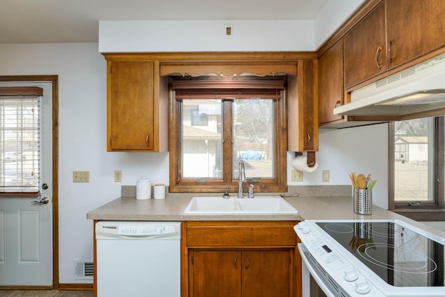 kitchen featuring a sink, white appliances, under cabinet range hood, and brown cabinets