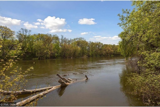 property view of water featuring a wooded view