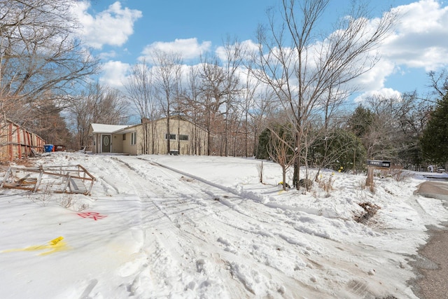 view of yard covered in snow