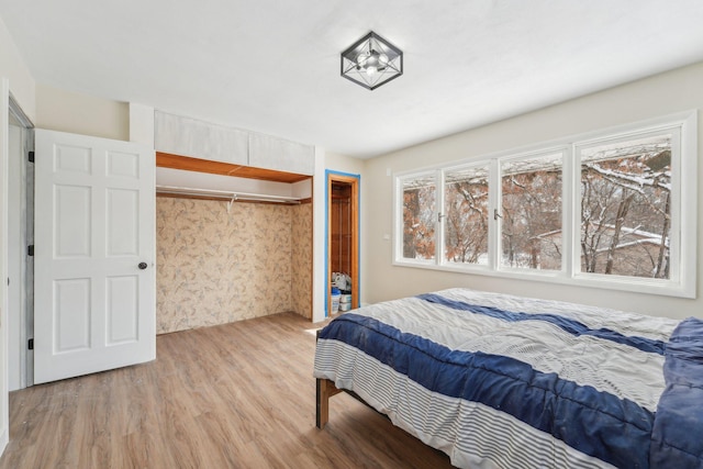 bedroom with a closet and wood finished floors