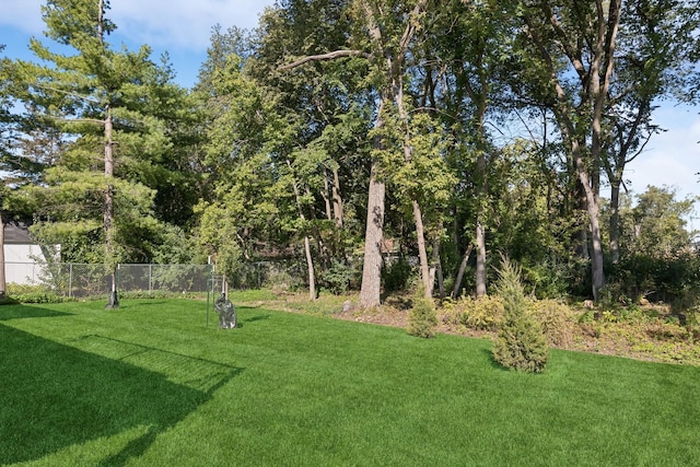 620 Greenvale Ave, Northfield, MN 55057 - photo 28