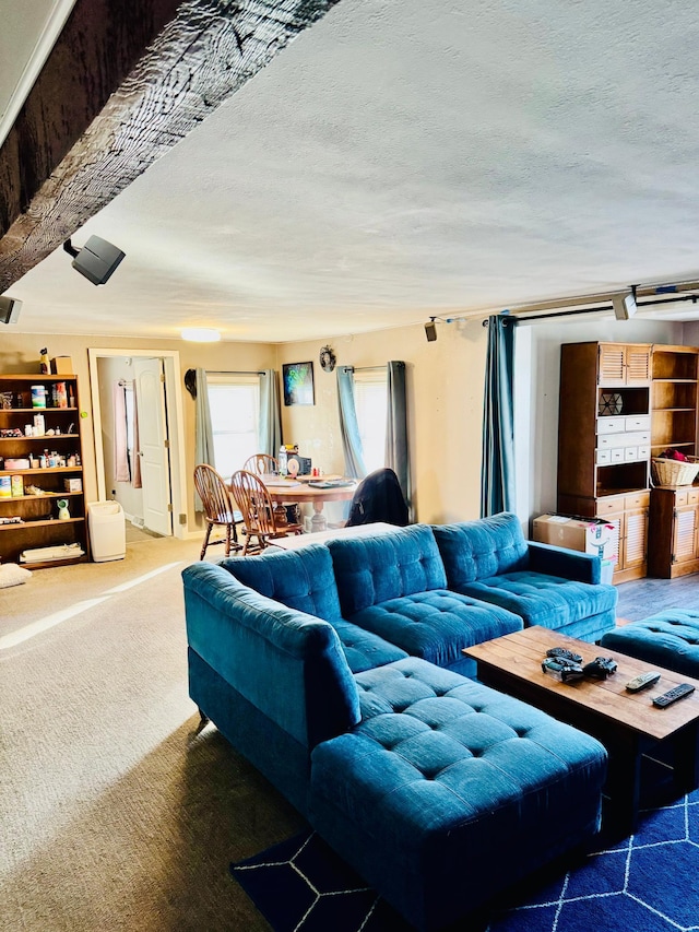 living area featuring light carpet and a textured ceiling