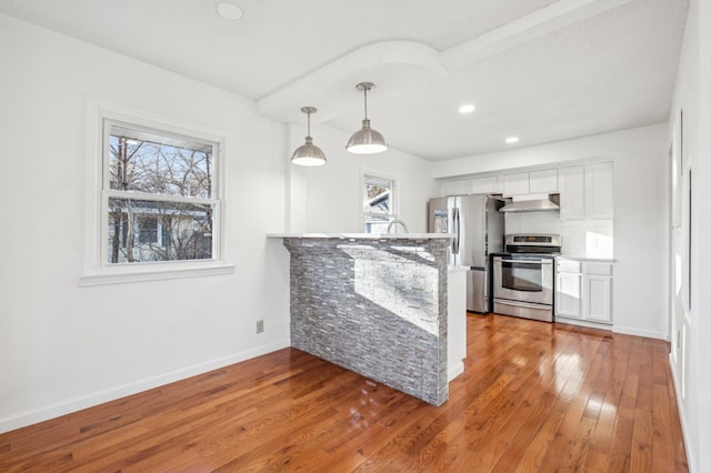 kitchen featuring tasteful backsplash, wood-type flooring, a peninsula, stainless steel appliances, and under cabinet range hood