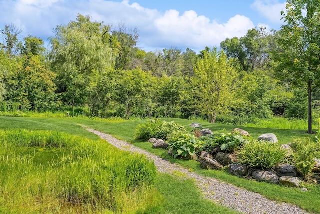 view of yard with a view of trees