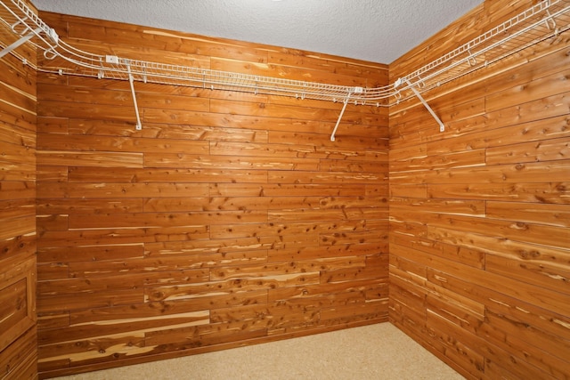 walk in closet featuring carpet flooring
