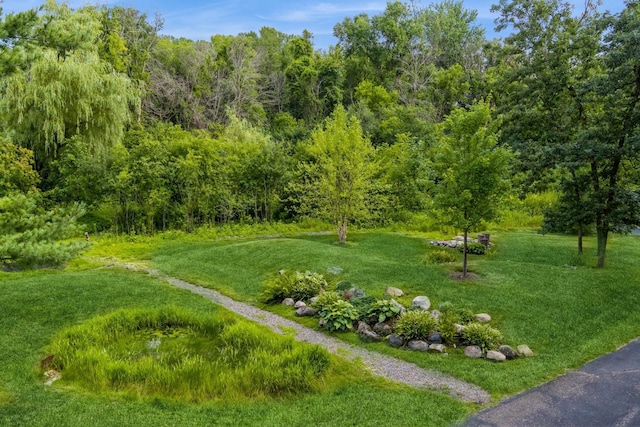 view of community with a lawn and a forest view