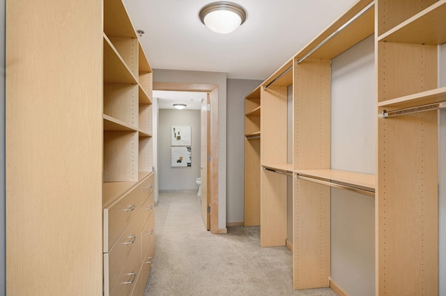 spacious closet with light carpet