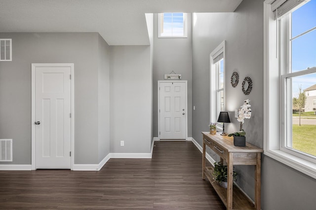 3485 109th Ln NE, Blaine, MN 55449 - entrance foyer with baseboards, plenty of natural light, dark wood-type flooring, and a high ceiling