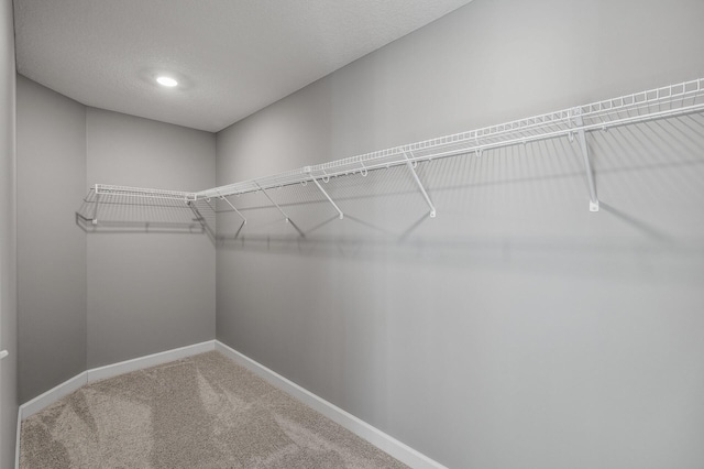 3485 109th Ln NE, Blaine, MN 55449 - walk in closet featuring carpet floors