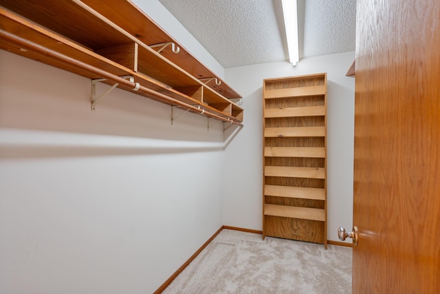 spacious closet featuring carpet