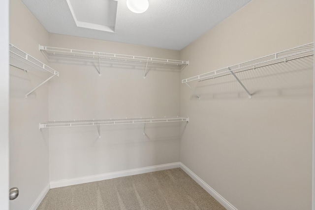 walk in closet with carpet