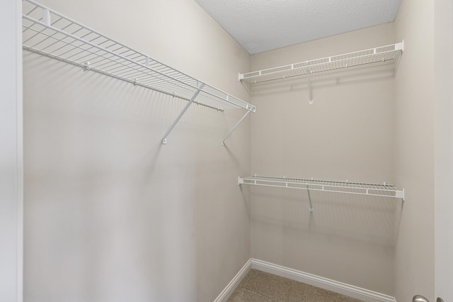 walk in closet with carpet