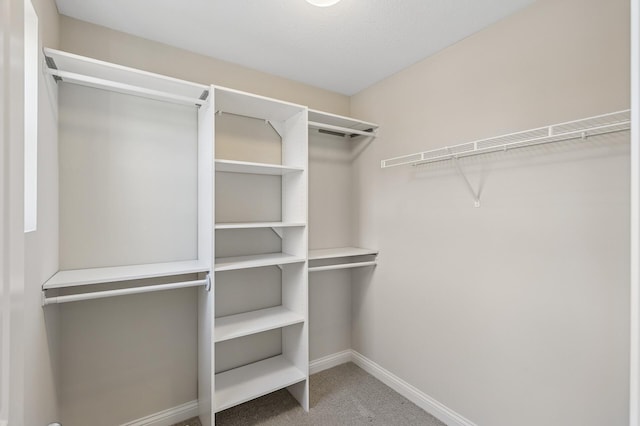 walk in closet with carpet flooring