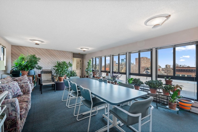 carpeted dining room featuring a healthy amount of sunlight, a city view, and a textured ceiling