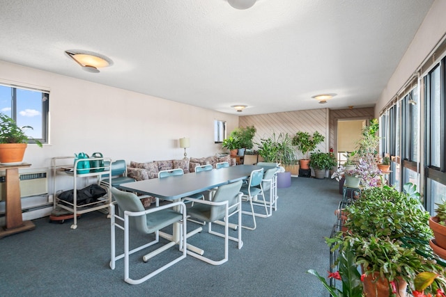 dining room with carpet floors and a textured ceiling