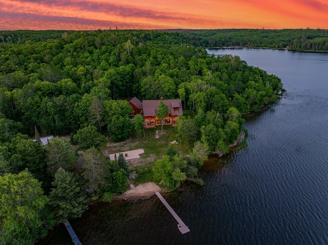 bird's eye view featuring a water view and a wooded view