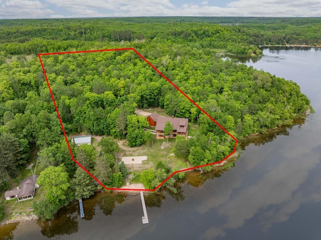 bird's eye view featuring a water view and a wooded view