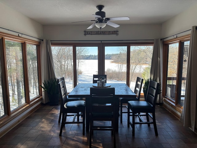 dining room featuring ceiling fan, stone finish floor, and a wealth of natural light