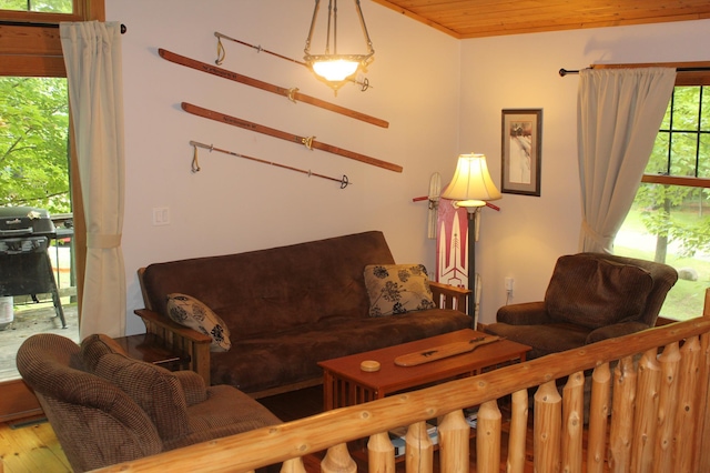 living room featuring wood finished floors